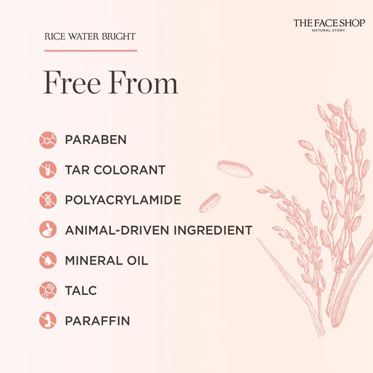 ザ・フェイスショップ ライスウォーター ブライト フェイス  - Luxury Skincare Aesthetic のレビューと価格
